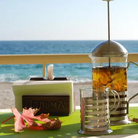 Palma Relaxation Center *